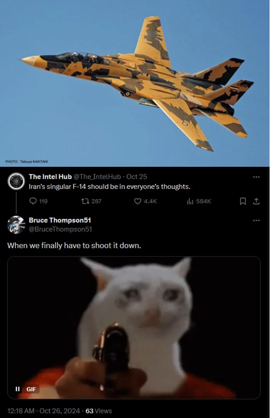 A Stunning Warplane: Beauty in Every Flight