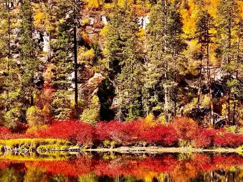 A vibrant autumn landscape shows a lake reflecting fiery red and orange bushes along its shore, with evergreen and…