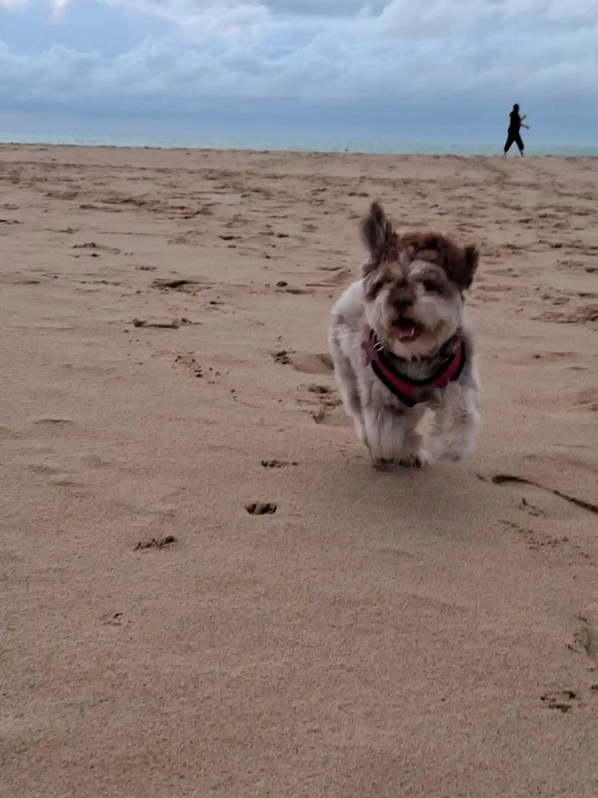 Fun in the Sun: Beach Day Adventures