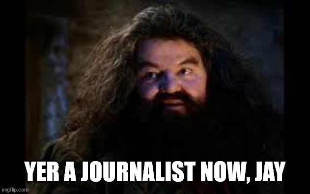 A close-up image of the character Hagrid from Harry Potter, with long shaggy hair and a beard, looking slightly to his right…