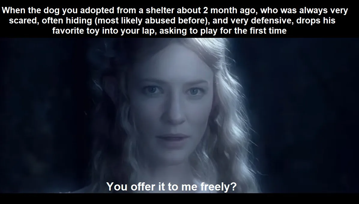 A still image of actress Cate Blanchett with a look of profound, almost incredulous surprise, overlaid with text describing…