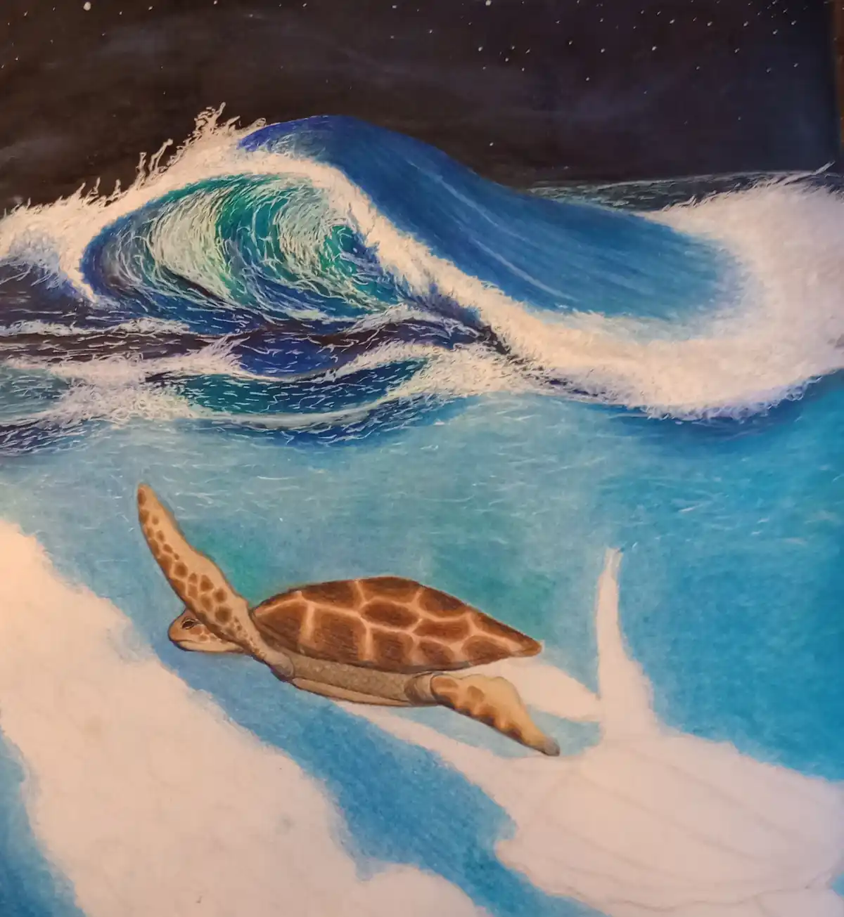 A hand-drawn illustration depicts a sea turtle swimming calmly in shallow, light blue water near a sandy shore, while a…
