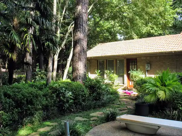 Sticky and Humid: A Classic Houston Afternoon