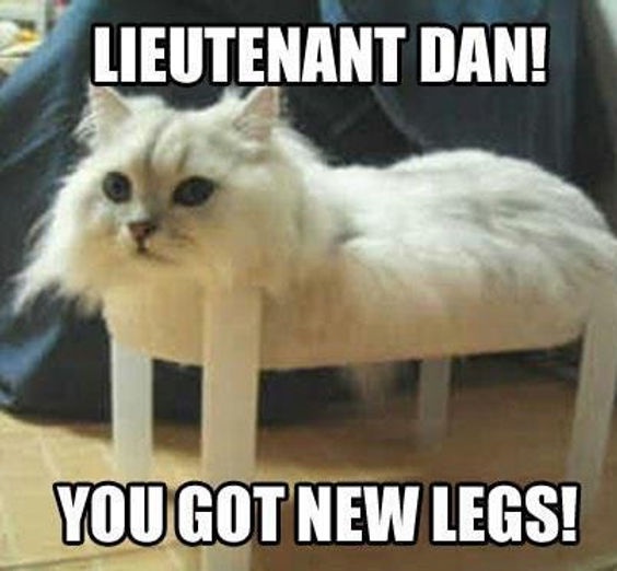 A fluffy white cat with a stern expression is sitting on a small white stool, looking directly at the camera. The image has…
