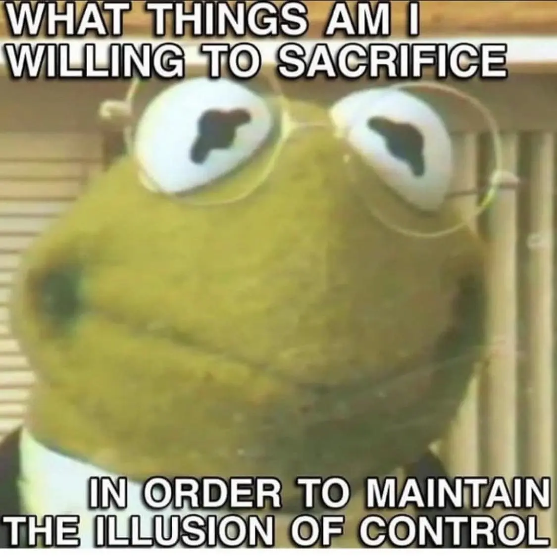 A close-up image of Kermit the Frog wearing glasses, looking intensely at the viewer. The text overlaid in bold white…