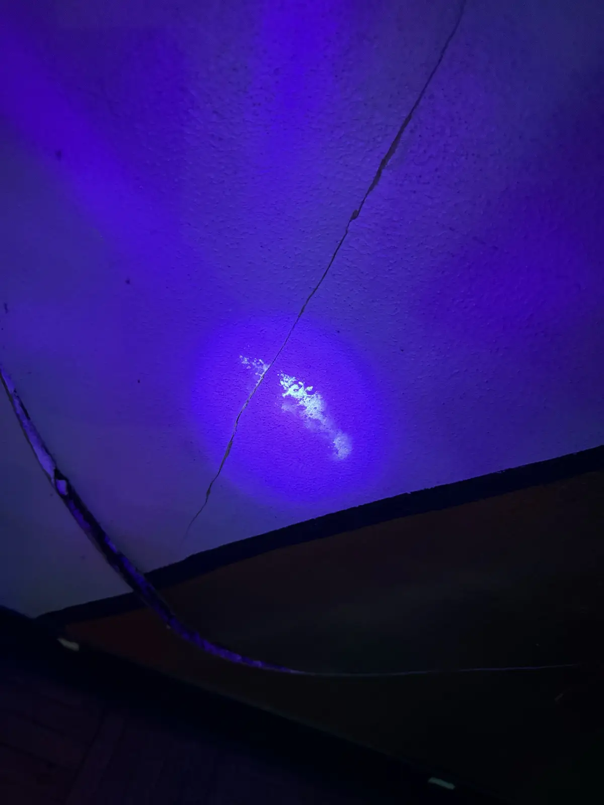 The Hidden Stories Behind Dive Bar Walls Under UV Light
