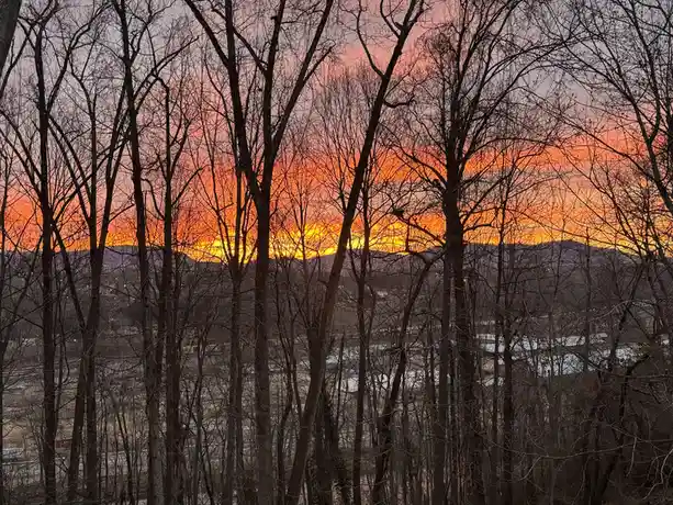 A photograph of a vibrant orange and pink sunset viewed through the bare branches of leafless trees, with distant hills and…