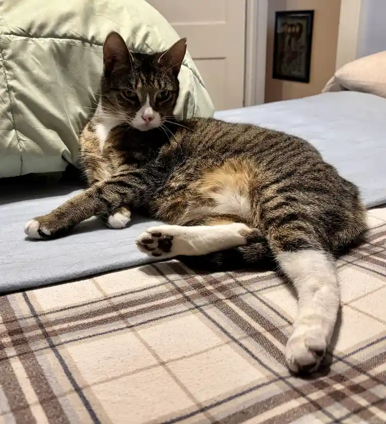 Draw me like one of your French girls!