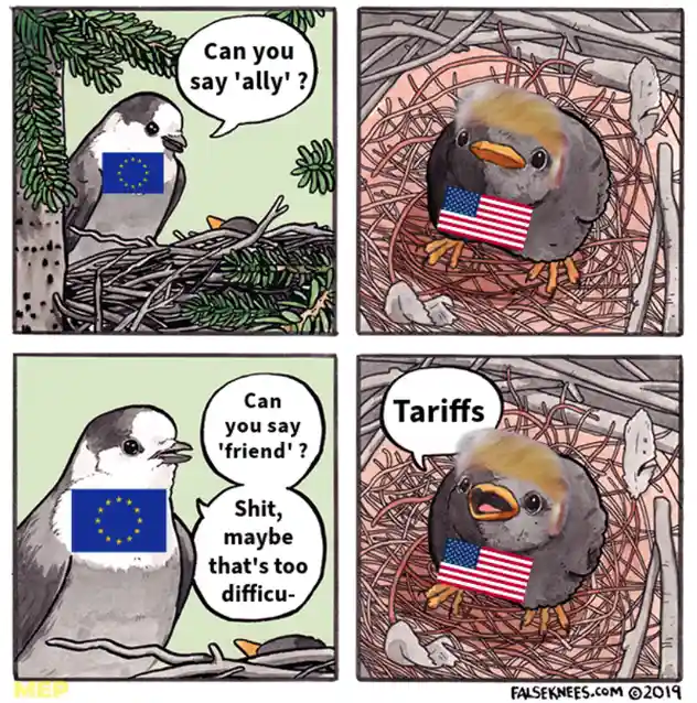 A four-panel comic shows a European Union bird asking an American bird (with Donald Trump's hair) if it can say 'ally', then…