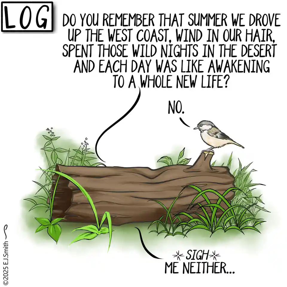A cartoon bird perched on a log in a grassy area responds to a nostalgic question about a summer road trip with a simple…