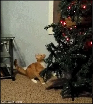 A sequence of six panels shows an orange tabby cat starting at the base of a decorated Christmas tree with red lights, then…