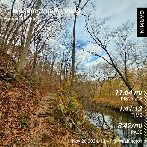 A Garmin Forerunner 965 running GPS screenshot overlaid on a scenic autumn forest trail with a creek, showing a 11.64-mile…