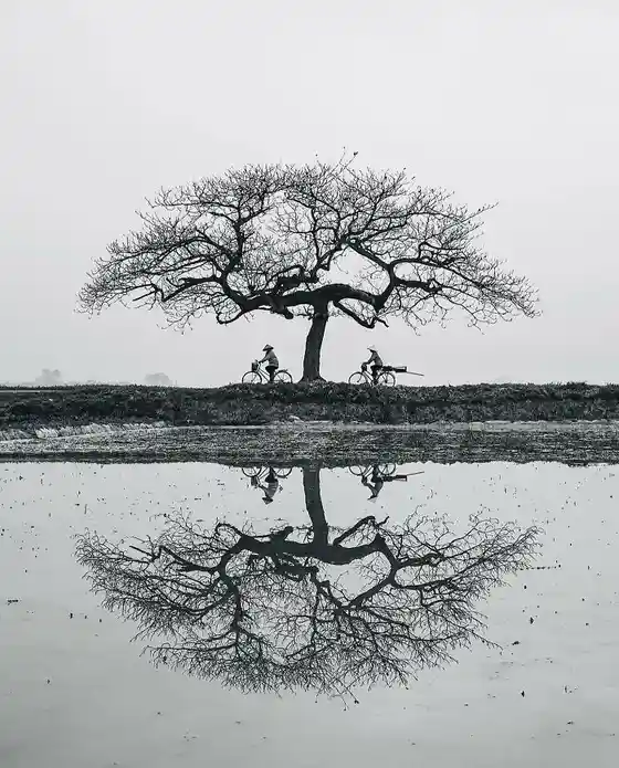 Deep Thoughts: A Moment of Reflection