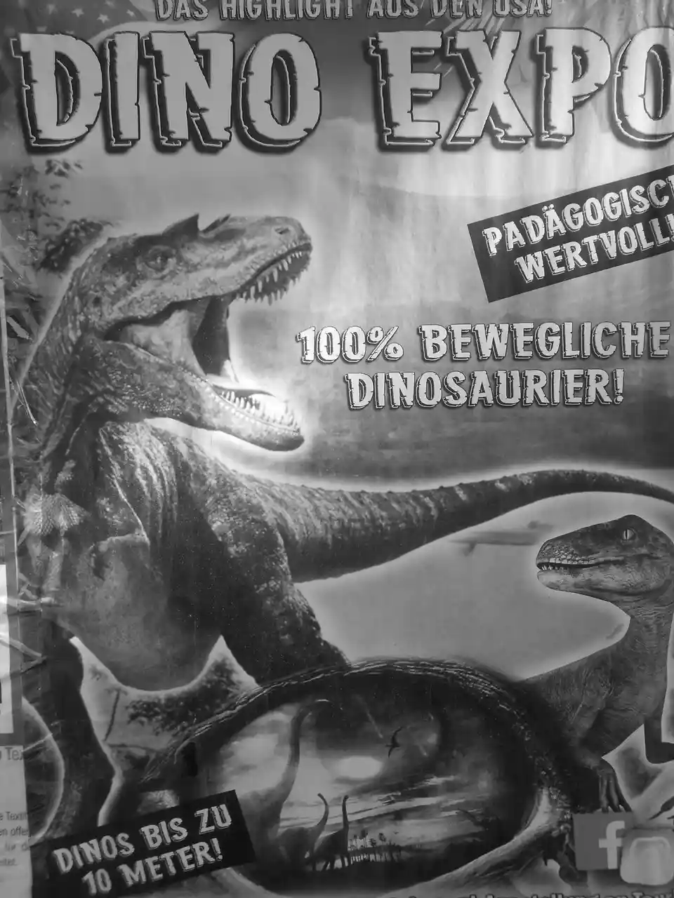 A nostalgic black-and-white snapshot from Regensburg, November 2023