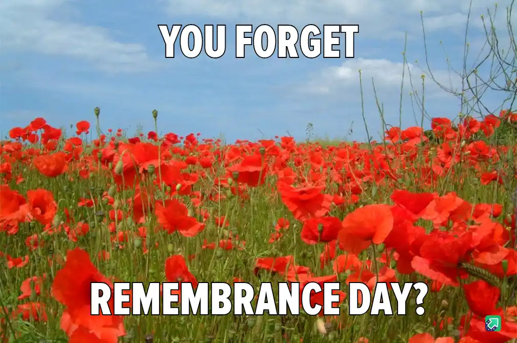 A field of red poppies under a blue sky with white clouds. Large white text at the top reads 'YOU FORGET' and larger white…