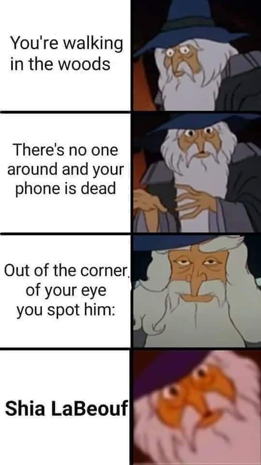A four-panel meme featuring the animated wizard Gandalf from 'The Lord of the Rings'. The panels show Gandalf's expressions…