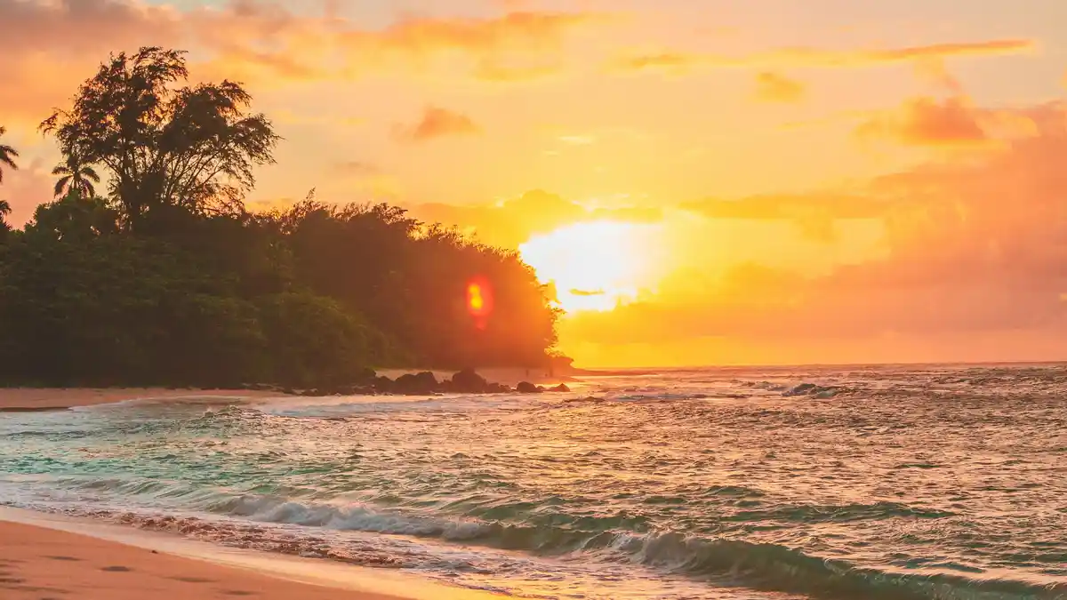 Golden light seeps over the horizon, casting a warm glow on the waves as they gently lap at the shore. Softly swaying palm…