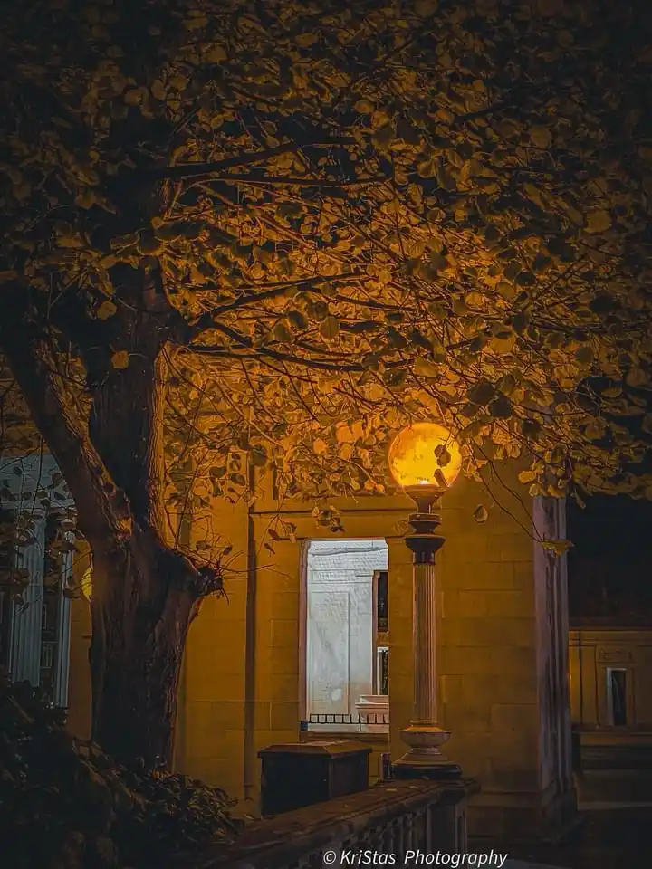 A nighttime photograph shows a vintage-style street lamp glowing warmly, its light filtering through the leaves of a large…