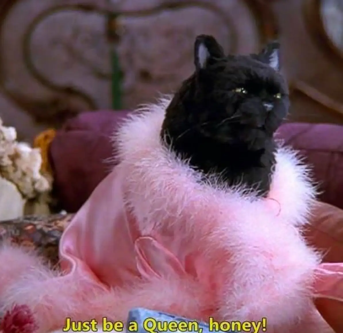 A black cat with a regal, slightly disdainful expression sits atop a fluffy pink garment, likely a robe or dress, in a…