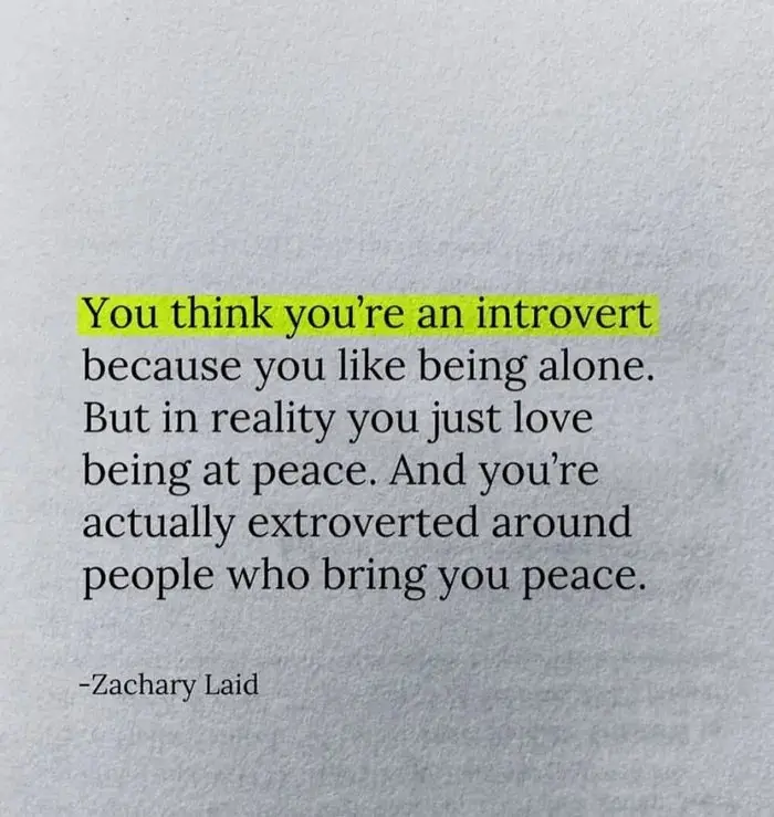 The image displays a block of black text on a textured light gray background. The first line, 'You think you're an introvert…