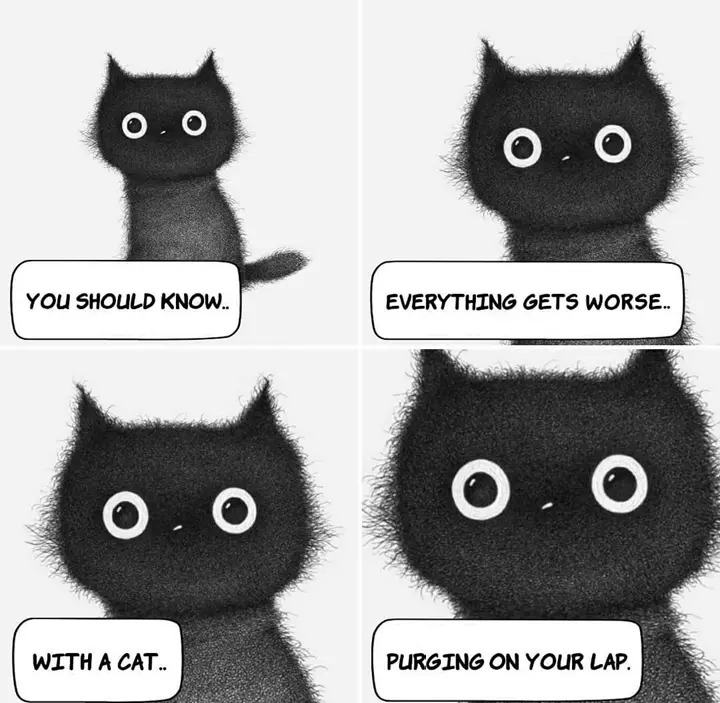 A four-panel black-and-white comic strip featuring a stylized black cat with large white eyes. Each panel shows the cat…
