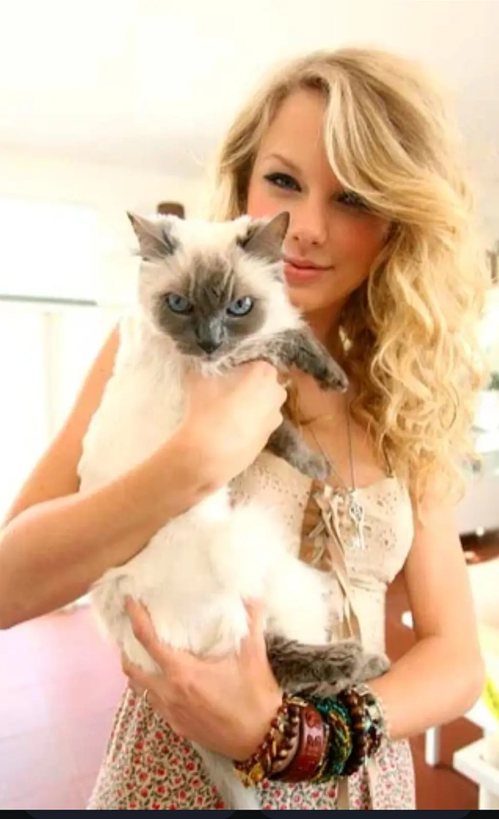 A woman with blonde curly hair holds a fluffy white and grey cat with striking blue eyes. The cat has a serious, unimpressed…
