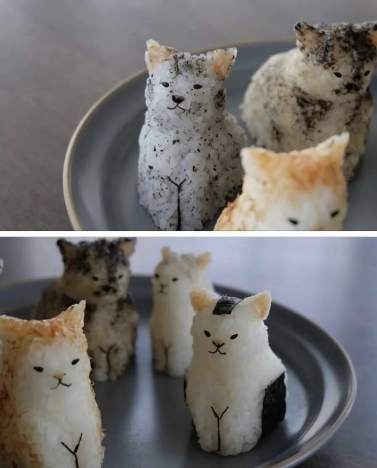 Have You Ever Wanted to Pet Your Food?