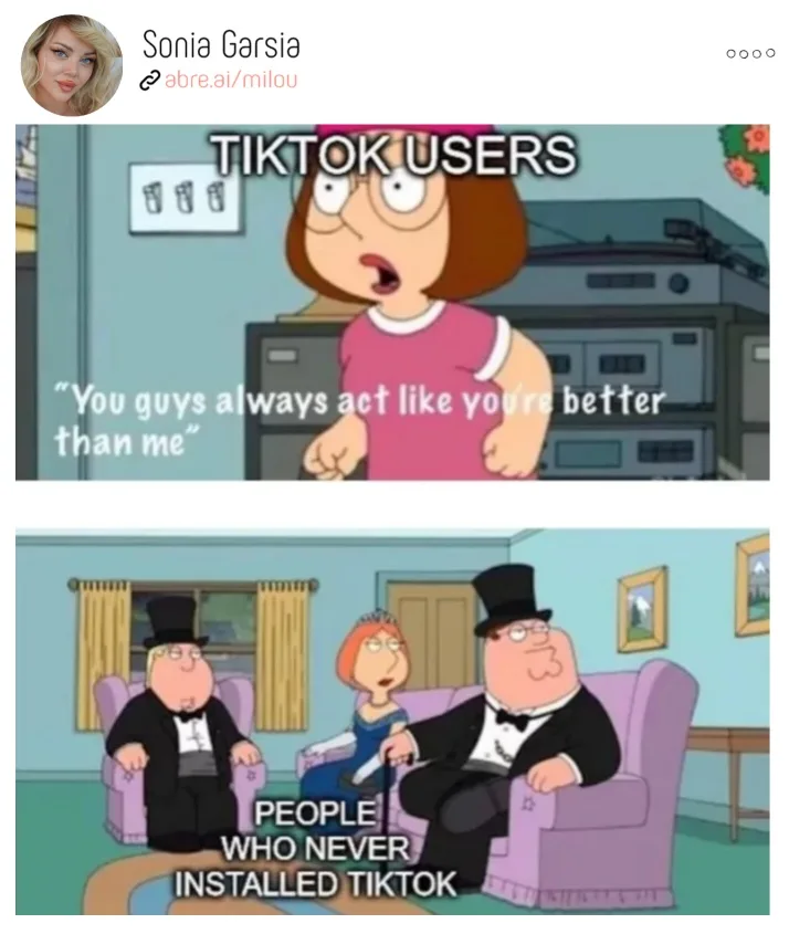 The meme features two panels from the animated show Family Guy. The top panel shows a character labeled 'TIKTOK USERS'…