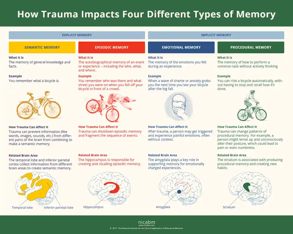 An educational infographic titled 'How Trauma Impacts Four Different Types of Memory' is divided into four colored sections…