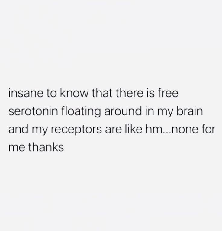 The image displays plain black text on a solid light gray background. The text reads: 'insane to know that there is free…
