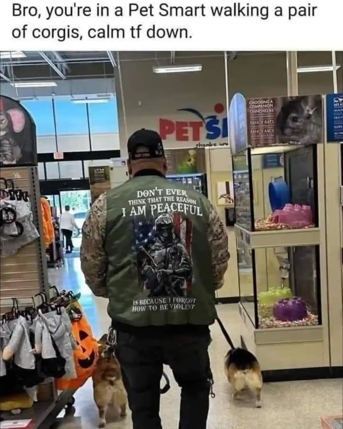 A man viewed from behind walks two corgis through a PetSmart store, wearing a green vest with a graphic of a soldier and the…
