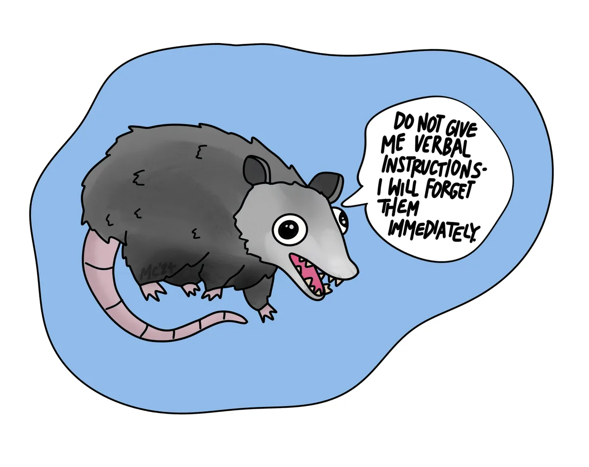 A cartoon illustration of a gray opossum with a pink tail and sharp teeth, shown against a light blue background. The…
