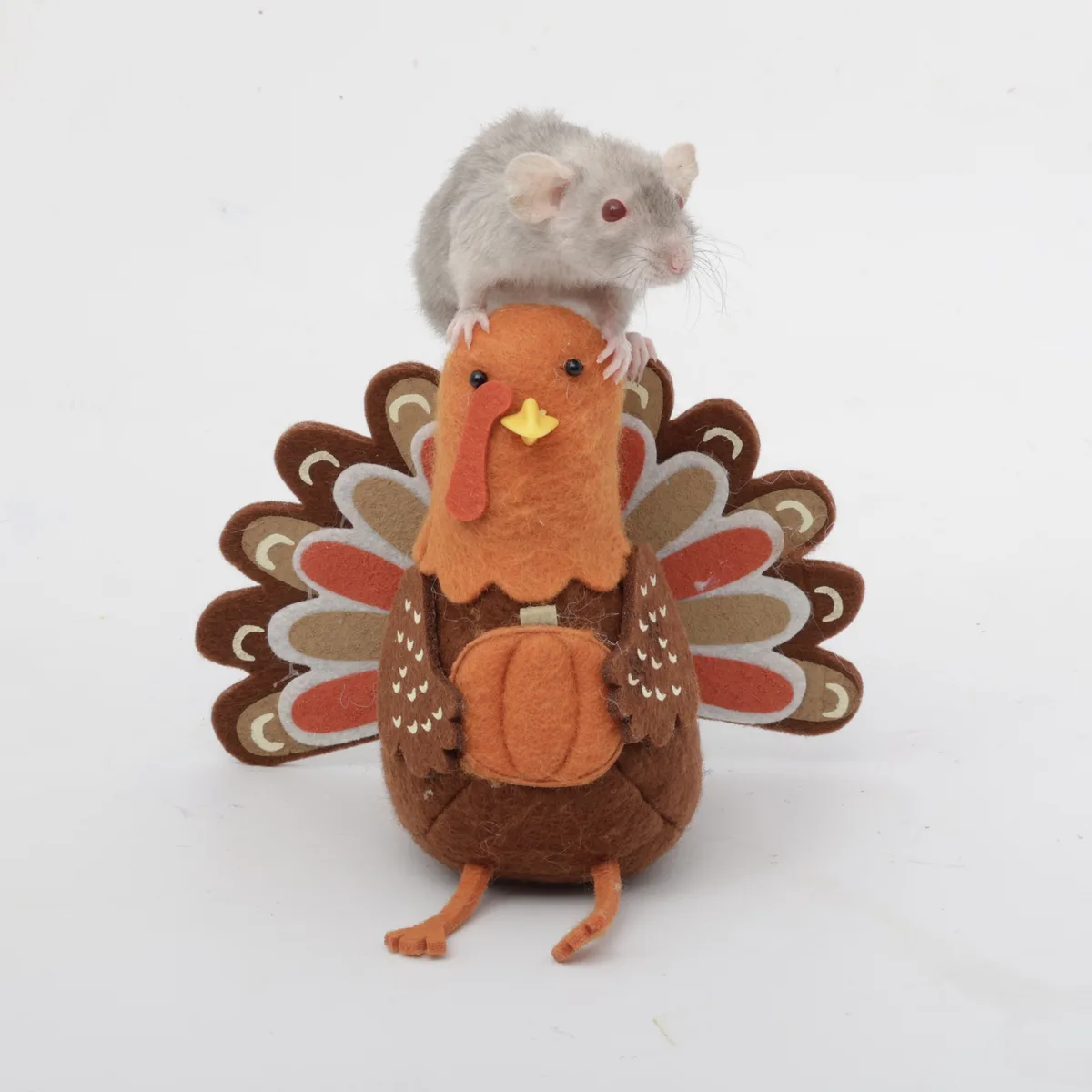 A small gray mouse is perched atop a felt turkey decoration, which has an orange head, brown body, and colorful tail…