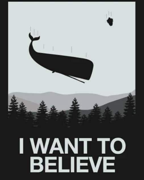 A minimalist illustration shows a black whale silhouette flying through a pale sky above a forest and mountains, with a…