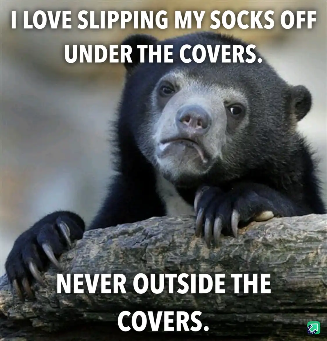 A close-up photo of a sad-looking sun bear with dark fur and a white face, resting its paws on a log. White bold text is…