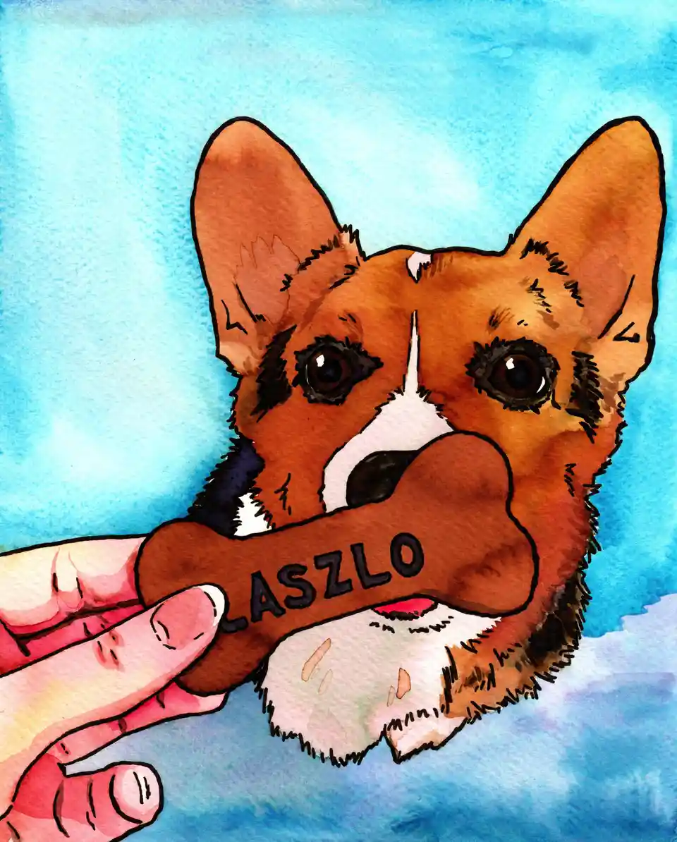 A watercolor-style illustration shows a brown and white corgi holding a large bone in its mouth. A human hand is visible on…