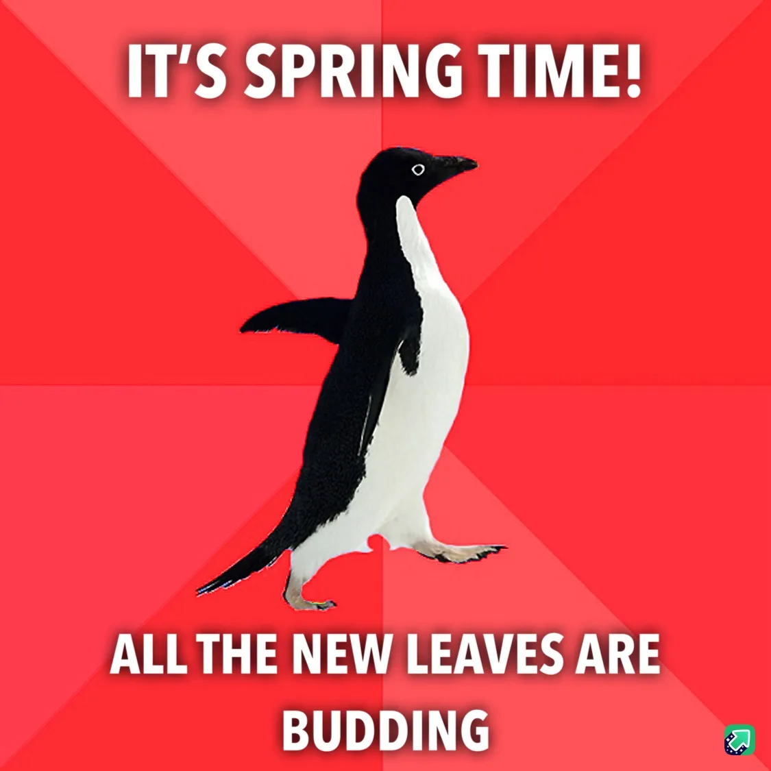 A black-and-white penguin stands centered against a red background with diagonal stripes. White bold text at the top reads…