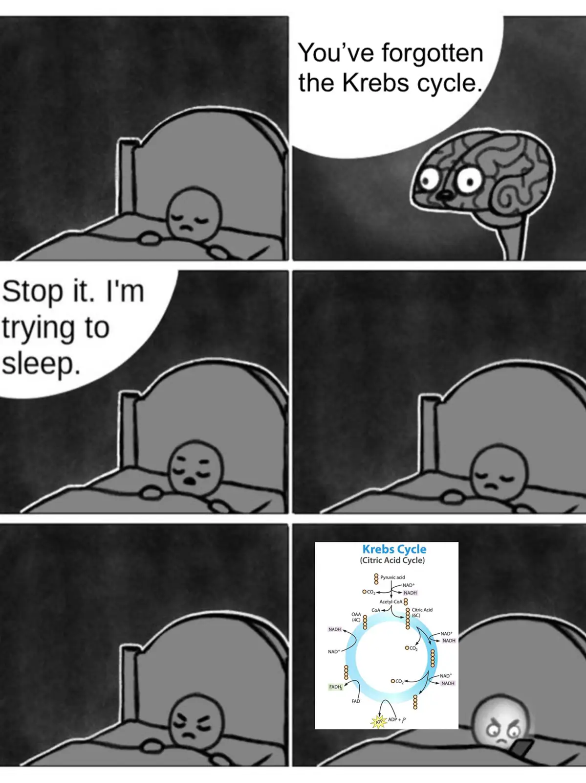A six-panel comic shows a person trying to sleep in bed while their brain, depicted as a cartoon brain with a face…