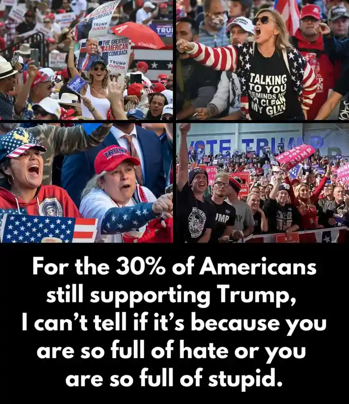 A four-panel collage shows various enthusiastic Trump supporters at rallies, holding signs and wearing patriotic clothing…
