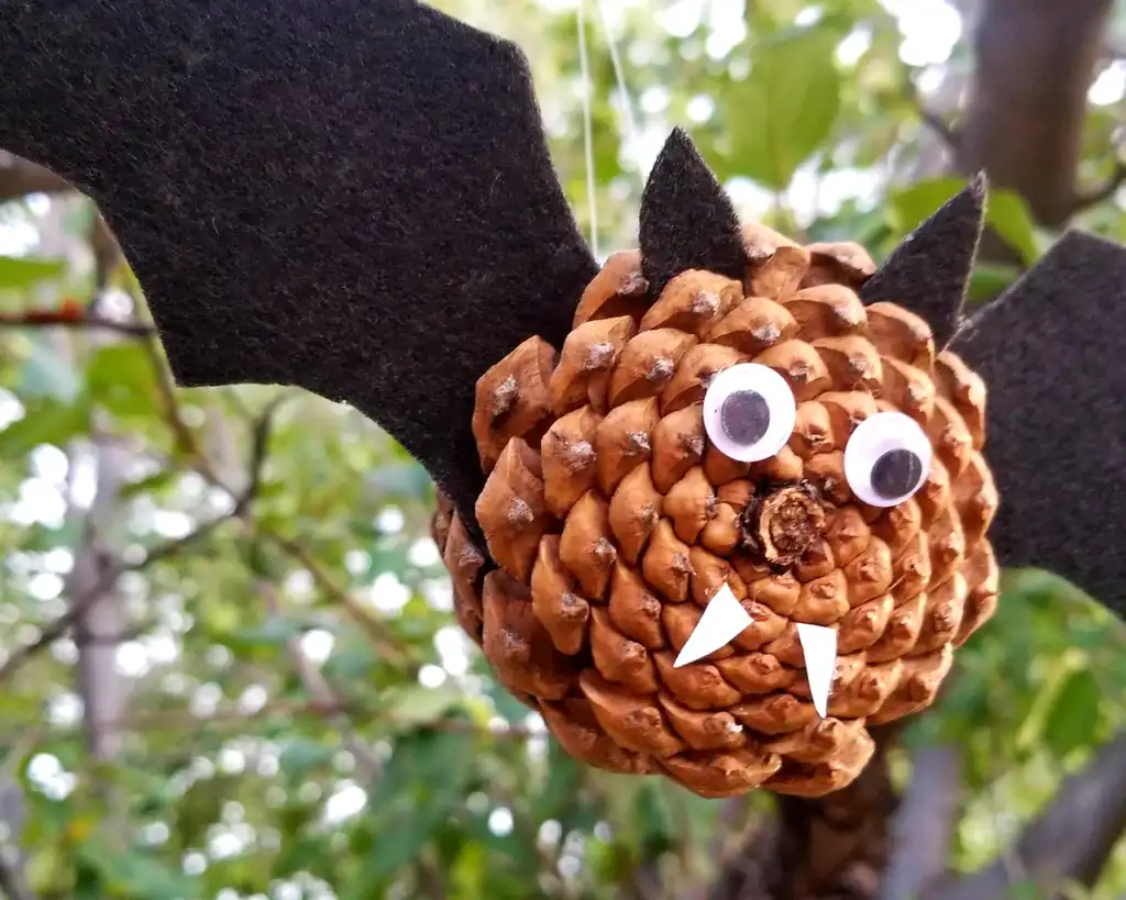A pinecone is decorated with googly eyes, two small white paper fangs, and black felt bat wings and ears, hanging from a…