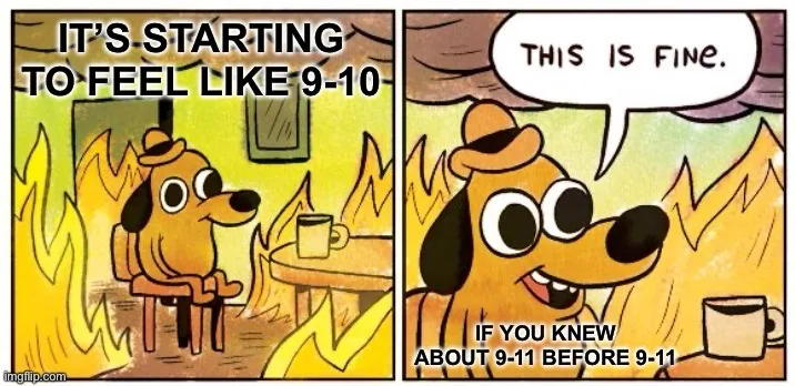 A two-panel comic strip featuring a cartoon dog wearing a hat, sitting calmly in a room engulfed in flames. In the first…