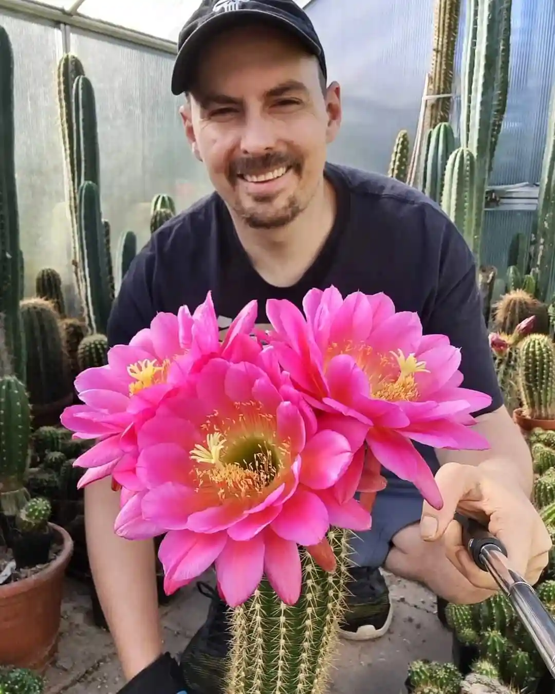 A man in a greenhouse, smiling while holding a selfie stick and posing with a cactus that has three large, vibrant pink…
