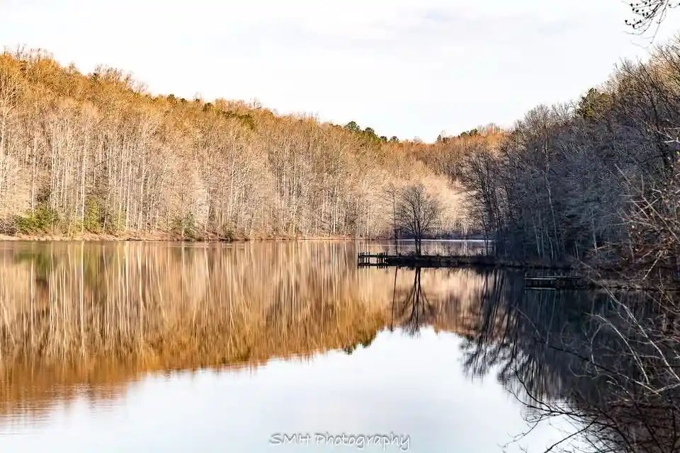A serene photograph of a calm lake reflecting bare trees on a cloudy day, with a small dock visible in the middle distance…
