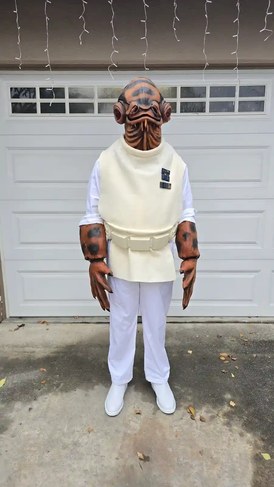 Submissions for ROTJ Admiral Ackbar: A Photo Collection