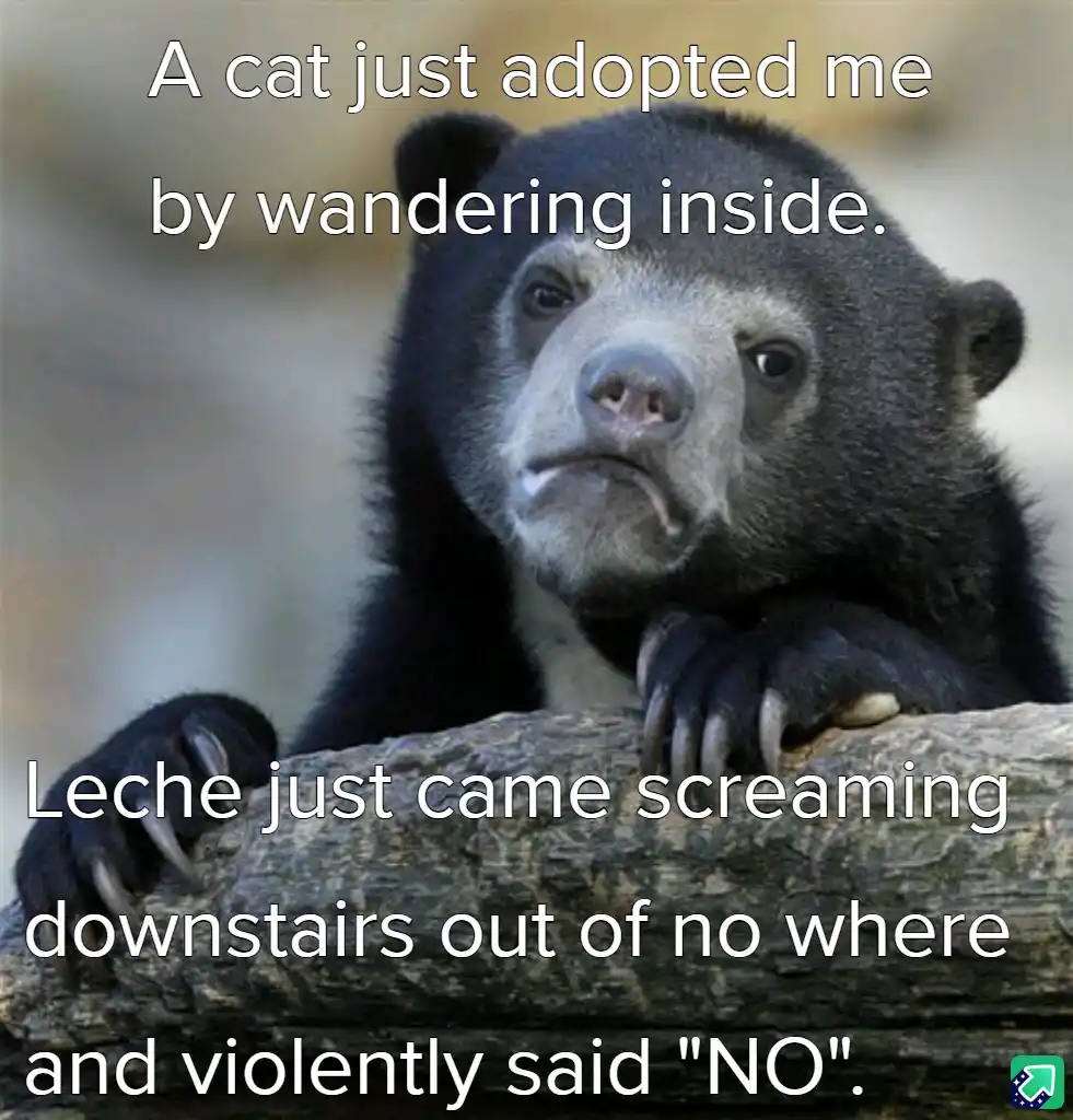 A close-up photo of a sad-looking sun bear resting its paws on a log, with white text overlaid in two blocks. The top text…