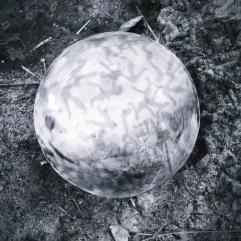 A black-and-white photo shows a large, round, blurry object resembling a bubble or orb resting on rough, textured ground…