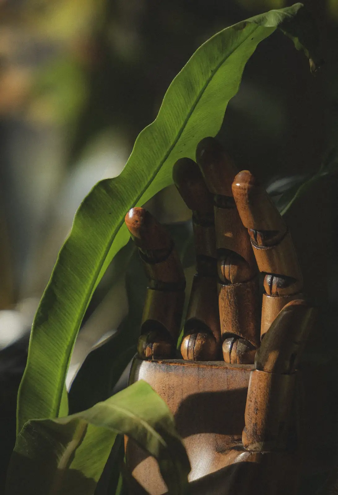 A wooden artist's hand model is positioned among large, vibrant green leaves, with sunlight highlighting the textures of…