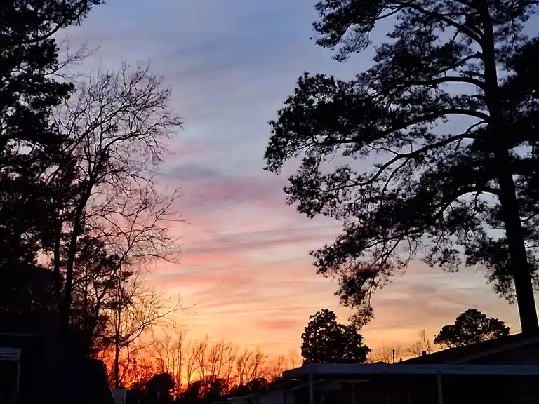 A serene sunset photo showing silhouetted trees and rooftops against a sky transitioning from orange near the horizon to…