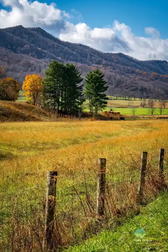 A scenic autumn landscape featuring a wooden fence in the foreground, golden grasses, evergreen and deciduous trees, and…