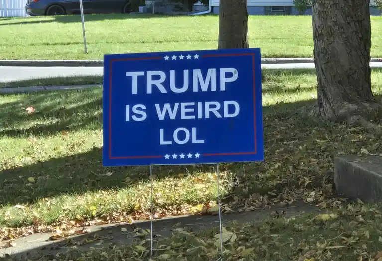 A blue political yard sign with red borders and white stars at the top and bottom reads 'TRUMP IS WEIRD LOL' in bold white…